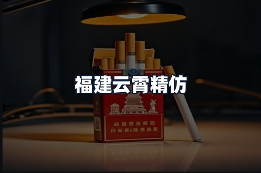福建云霄精仿